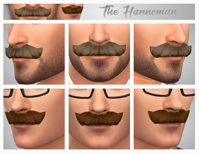 The Hanneman