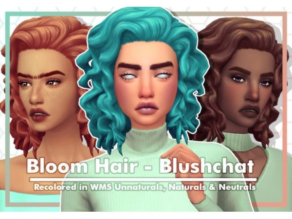BloomBlush Beauty: Transformative Hair Recolor & Makeup Trends (Alpha Hair & Blush Essentials)