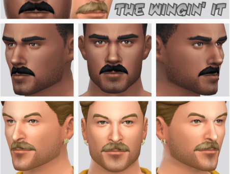 The Wingin’ it facial hair (Hopper)