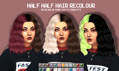 Half Half Recolor 2