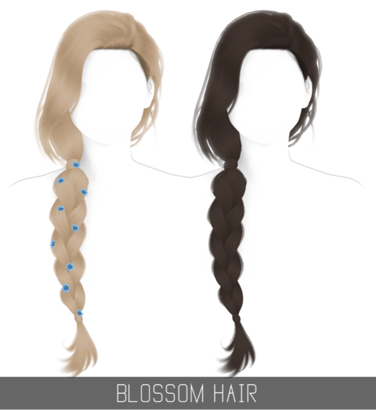 Blossom braids Hair