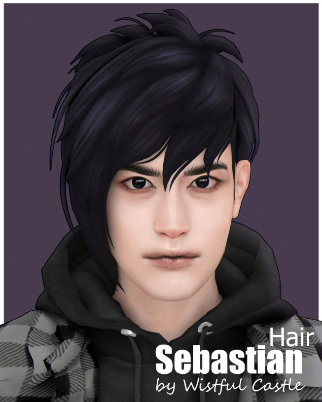 Sebastian Hair by Wistful Castle