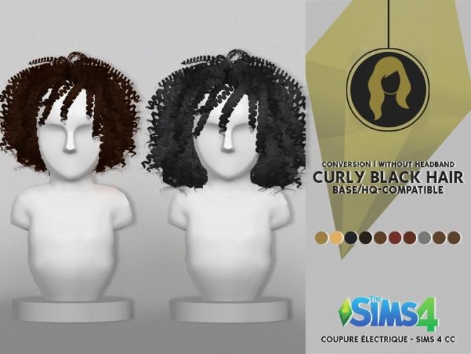 Curly Black Hair