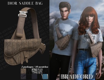 Dior Saddle Bag