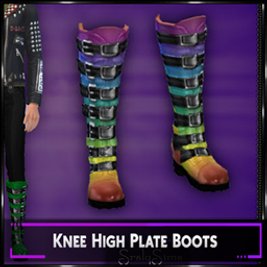 Knee High Plate Boots