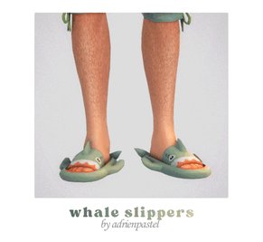 📑Whale Slippers