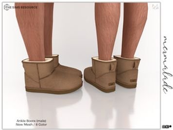 Ankle Boots S234 (Male)