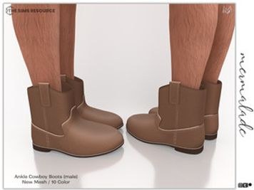 Ankle Cowboy Boots (male) S239