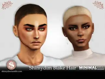 MinimalSIM Blake