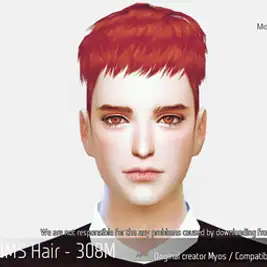 Korean Hair 308M