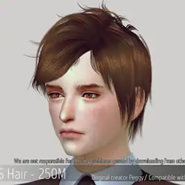 Korean Hair 250M
