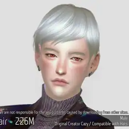 Korean Hair 226M