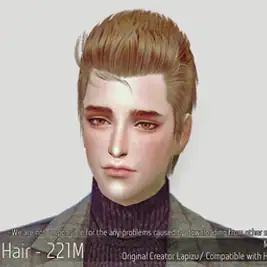 Korean Hair 221M