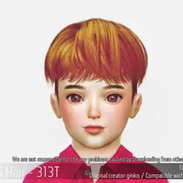 Korean Toddler Hair 313T
