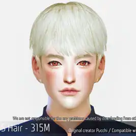 Korean Hair 315M