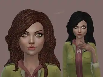 Braided Hair Retexture 1