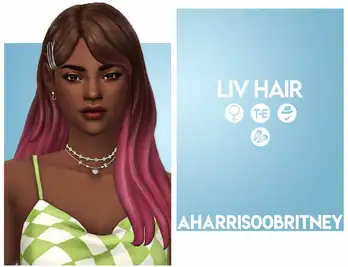 Liv Hair - Long Ombre Hairstyle with Hair Clips Accessories