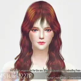 Korean Hair 227F