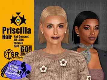 (High Street Shopping) Priscilla Hair