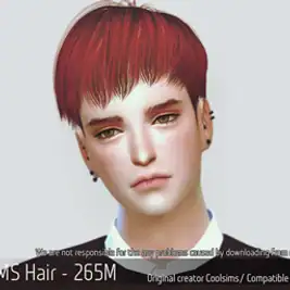 Korean Hair 265M