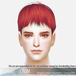 Korean Hair 320M
