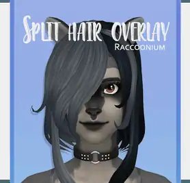 Split hair overlay
