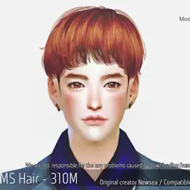 Korean Hair 310M