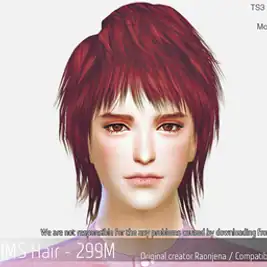 Korean Hair 299M