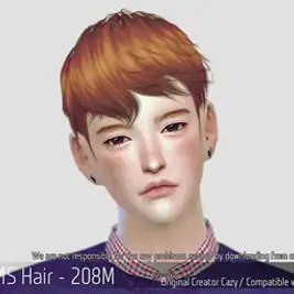 Korean Hair 208M
