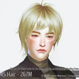 Korean Hair 267M
