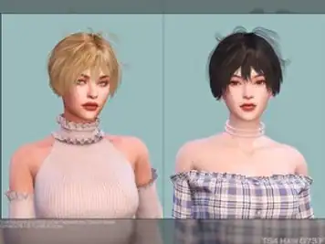Female Hair G73