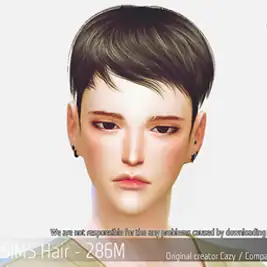 Korean Hair 286M