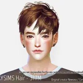 Korean Hair 317M