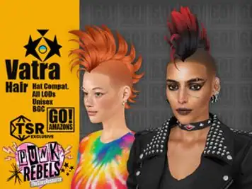 Vatra Hair (Punk Rebels)