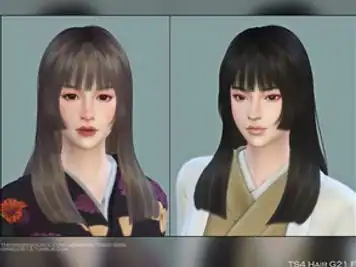 Female Hair G21