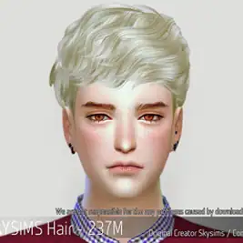 Korean Hair 237M