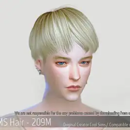 Korean Hair 209M