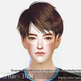 Korean Hair 312M