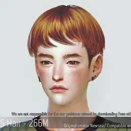 Korean Hair 266M