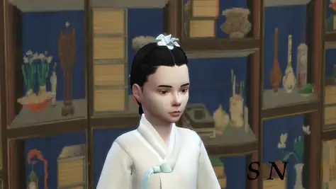 Daenggi hair and baetssi daenggi accessories