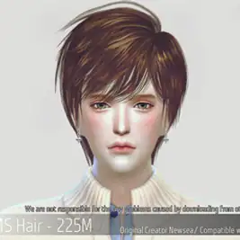 Korean Hair 225M