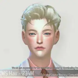 Korean Hair 234M