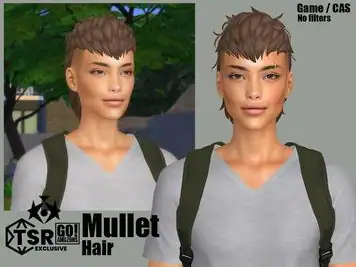 Mullet Hair