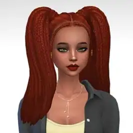 Braids Pigtails