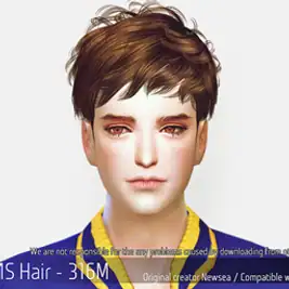 Korean Hair 316M