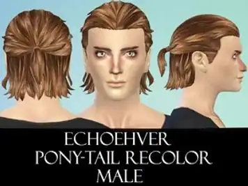 Echoehver Male Pony-Tail Recolor - Get Together needed