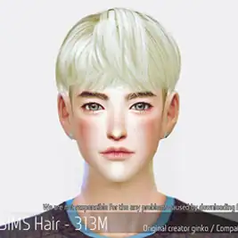 Korean Hair 313M