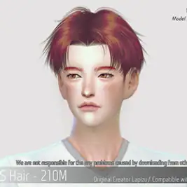 Korean Hair 210M