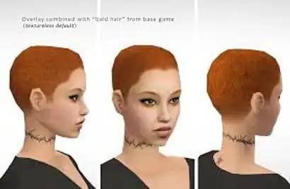 Mod The Sims - Scalp and Hairline Overlay Box