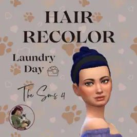 Hair Recolor Band Messy Bun
